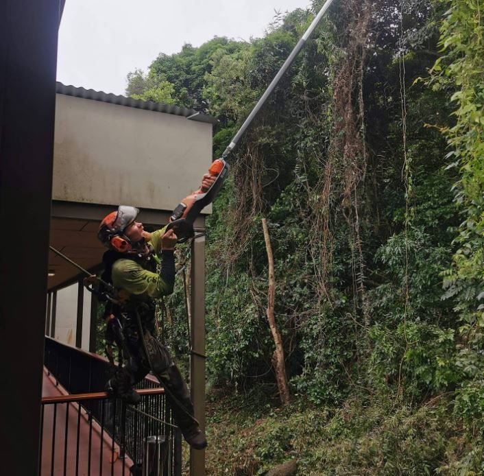 Tree Arrangements team